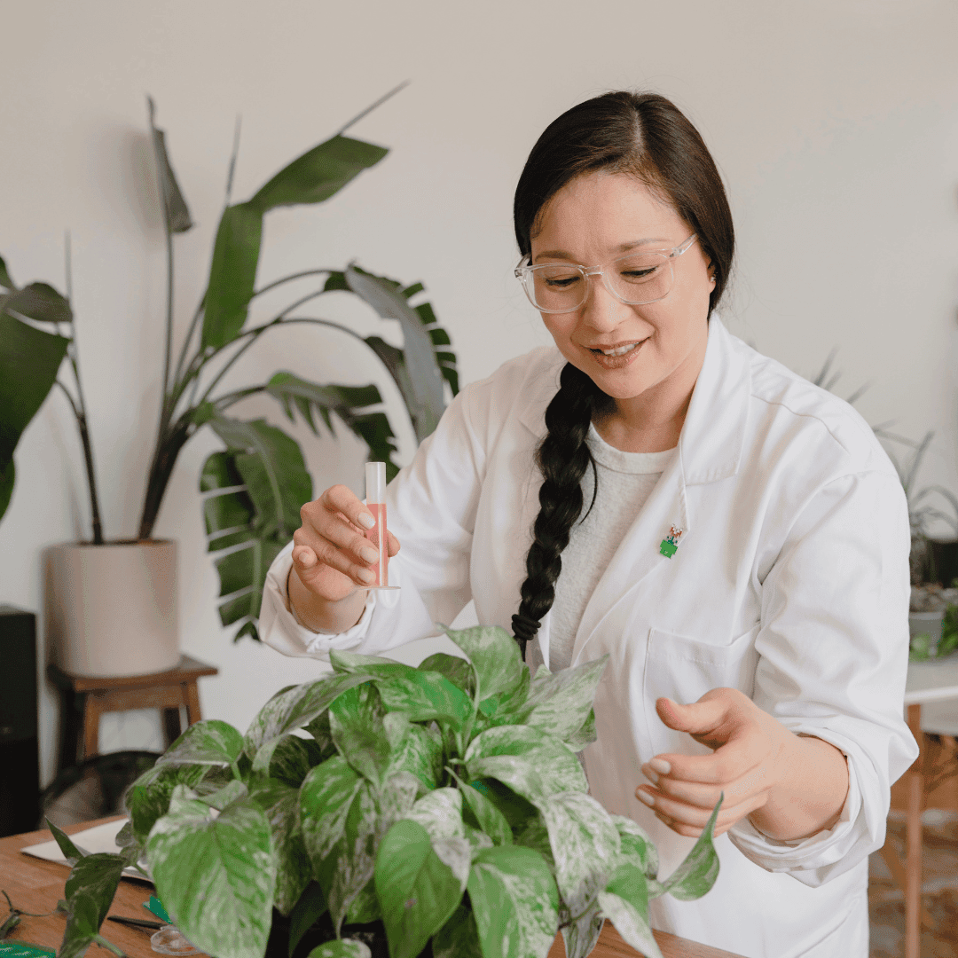 Image for Использование трав и растений